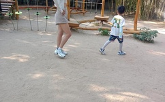 衡水二中女生抖音暴露抖音号